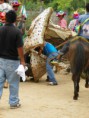 /album/hermoso-huajintepec-/a100-0219-jpg/